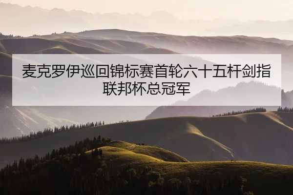麦克罗伊巡回锦标赛首轮六十五杆剑指联邦杯总冠军