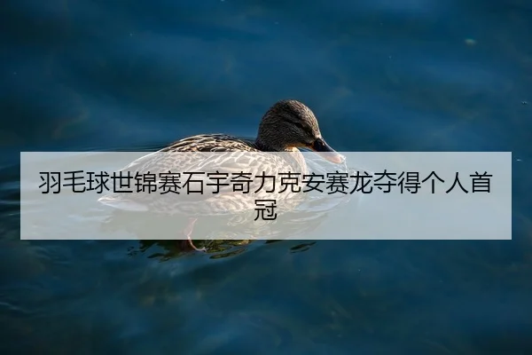 yu-mao-qiu-shi-jin-sai-shi-yu-qi-li-ke-an-sai-long-duo-de-ge-ren-shou-guan-2-101.jpg